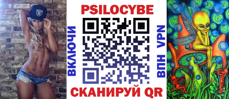 где найти   Шимановск  Псилоцибиновые грибы прущие грибы 